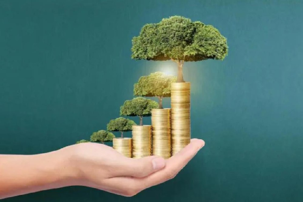 民间个人短借·江门24小时私人借钱 空放直达 当天放款